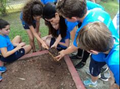 4º ano C aprendendo e brincando no Espaço Verde