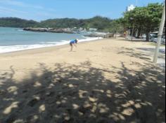 Grupos Oceano e Planeta ajudando a preservar o meio ambiente