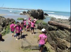 Infantil II explorando o ambiente da praia