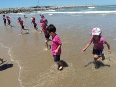 Infantil II explorando o ambiente da praia