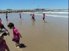 Infantil II explorando o ambiente da praia