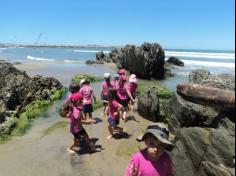 Infantil II explorando o ambiente da praia