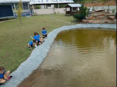 2º ano C conhece árvores da mata atlântica no Espaço Verde