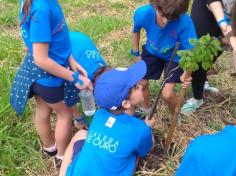 2º ano C conhece árvores da mata atlântica no Espaço Verde