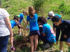 2º ano C conhece árvores da mata atlântica no Espaço Verde