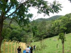 2º ano C conhece árvores da mata atlântica no Espaço Verde