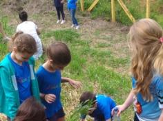 2º ano C conhece árvores da mata atlântica no Espaço Verde