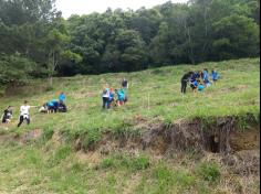 2º ano C conhece árvores da mata atlântica no Espaço Verde