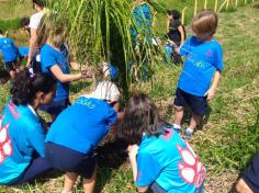 2º ano C conhece árvores da mata atlântica no Espaço Verde