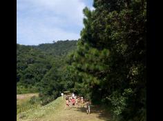 Brincadeiras com água no Espaço Verde