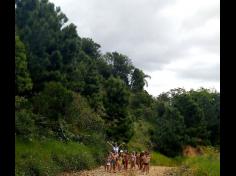 Brincadeiras com água no Espaço Verde