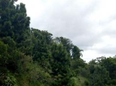 Brincadeiras com água no Espaço Verde