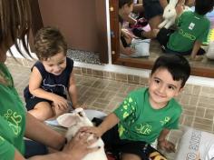 Maternal e Infantil IB recebem visita de coelho!