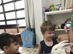 Maternal e Infantil IB recebem visita de coelho!