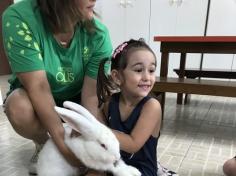 Maternal e Infantil IB recebem visita de coelho!