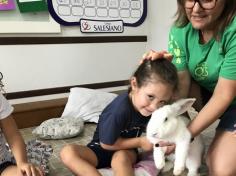 Maternal e Infantil IB recebem visita de coelho!