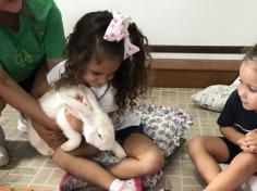 Maternal e Infantil IB recebem visita de coelho!