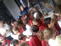 Educação Infantil e 1ºs anos visitam a vila da Regata Volvo Ocean Race