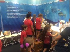 Educação Infantil e 1ºs anos visitam a vila da Regata Volvo Ocean Race