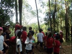 1ºs anos aprendem e se divertem no Espaço Verde