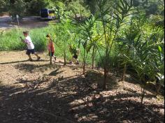 1ºs anos aprendem e se divertem no Espaço Verde