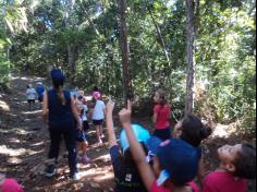 1ºs anos aprendem e se divertem no Espaço Verde