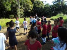 1ºs anos aprendem e se divertem no Espaço Verde