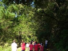 4ºs anos A e C participam do projeto: Conhecendo a Natureza