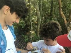 4ºs anos A e C participam do projeto: Conhecendo a Natureza