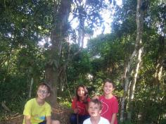 4ºs anos A e C participam do projeto: Conhecendo a Natureza