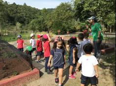 Grupo Folha, Mar e Peixes aprendendo e brincando no Espaço Verde