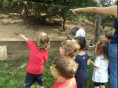 Grupo Folha, Mar e Peixes aprendendo e brincando no Espaço Verde