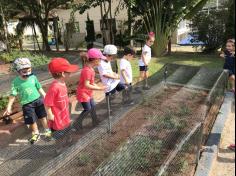 Grupo Folha, Mar e Peixes aprendendo e brincando no Espaço Verde