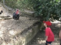 Grupo Folha, Mar e Peixes aprendendo e brincando no Espaço Verde