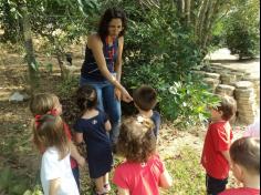 Grupo Folha, Mar e Peixes aprendendo e brincando no Espaço Verde