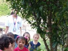 Grupo Folha, Mar e Peixes aprendendo e brincando no Espaço Verde