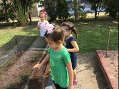 Grupo Folha, Mar e Peixes aprendendo e brincando no Espaço Verde