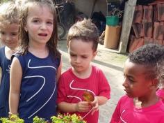 Grupo Folha, Mar e Peixes aprendendo e brincando no Espaço Verde