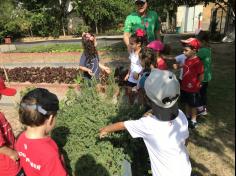 Grupo Folha, Mar e Peixes aprendendo e brincando no Espaço Verde