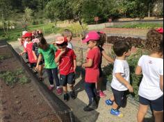 Grupo Folha, Mar e Peixes aprendendo e brincando no Espaço Verde