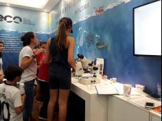 Uma visita na Volvo Ocean Race – Ensino Fundamental