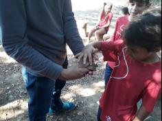 2º ano C e 3º ano C visitam o Espaço Verde