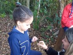 Grupo Energia explora a natureza no Espaço Verde