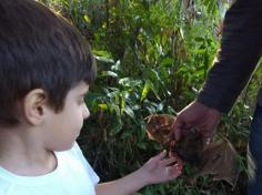 Grupo Energia explora a natureza no Espaço Verde