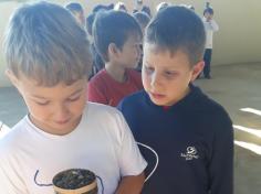 Experiência de Ciências no 2º ano