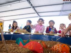 Tarde Junina na Educação Infantil e 1º ano 2018