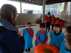 2º C e 3º C participam de aula de campo no Espaço Verde