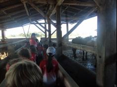 Grupo Aves do Mundo em aula-passeio na Fazenda Pamplona