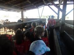 Grupo Aves do Mundo em aula-passeio na Fazenda Pamplona