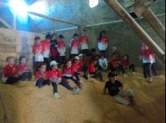 Grupo Aves do Mundo em aula-passeio na Fazenda Pamplona